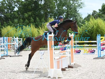 MFP_2644