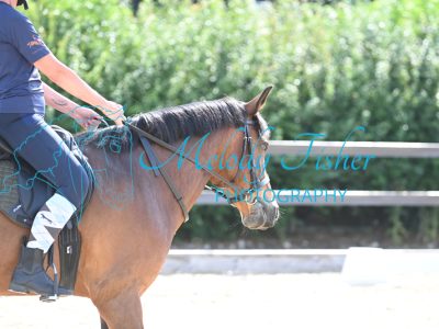 MFP_4966