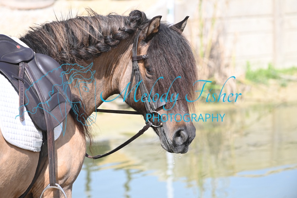 MFP_5024