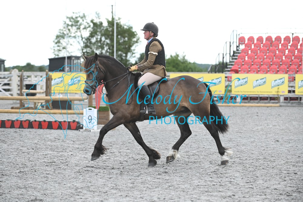 MFP_6099