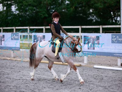 77A3306