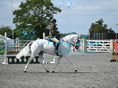 MFP_5377