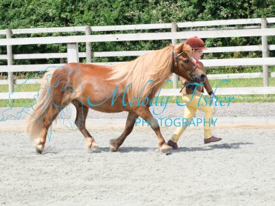 CPRE8946