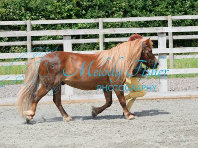 CPRE8947