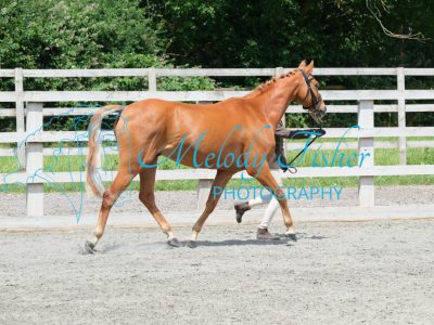 CPRE8951