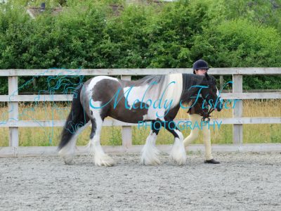 CPRE8873
