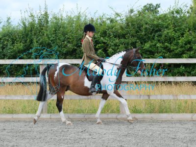 CPRE8803