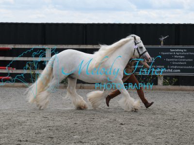 CPRE8883