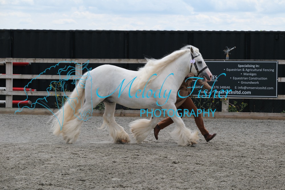 CPRE8883