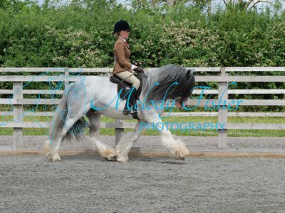 CPRE8810