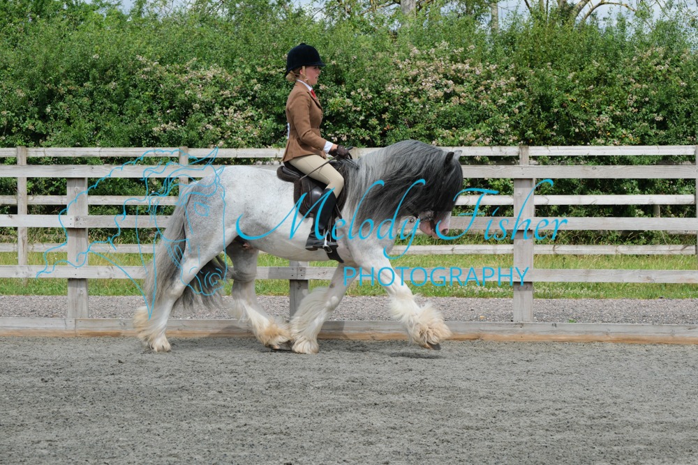 CPRE8810