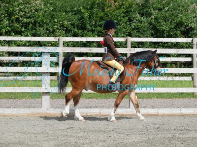 CPRE8753