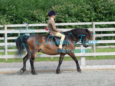 CPRE8668