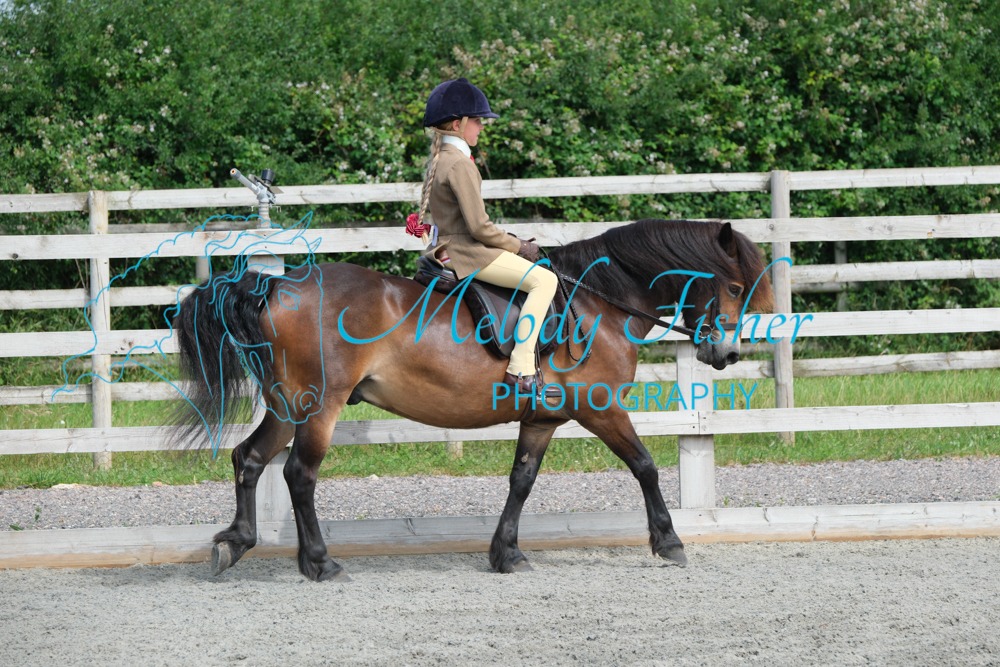 CPRE8668