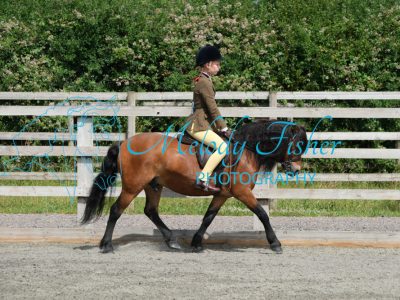CPRE8677