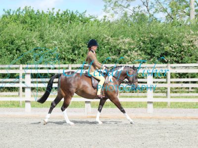 CPRE8585