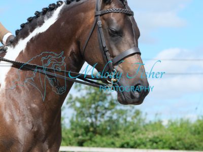 CPRE8595
