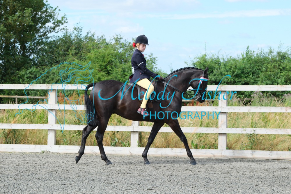 CPRE8520