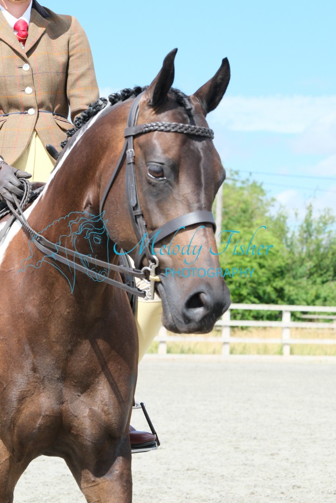 CPRE8598