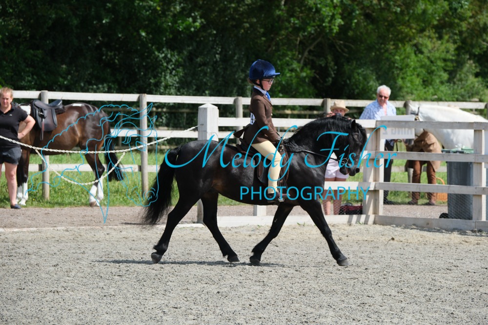 CPRE8699