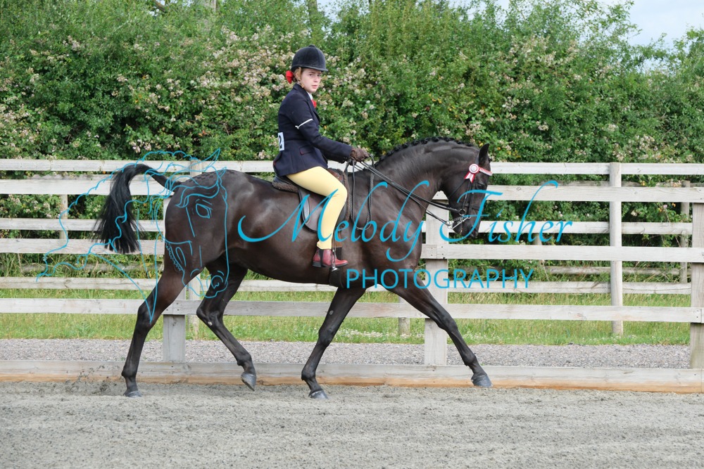 CPRE8527