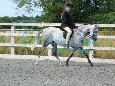 CPRE8528