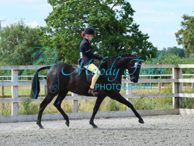 CPRE8529