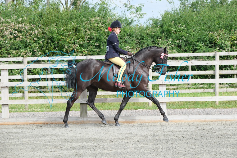 CPRE8531