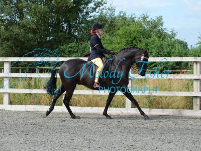 CPRE8536
