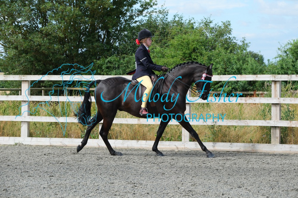 CPRE8536
