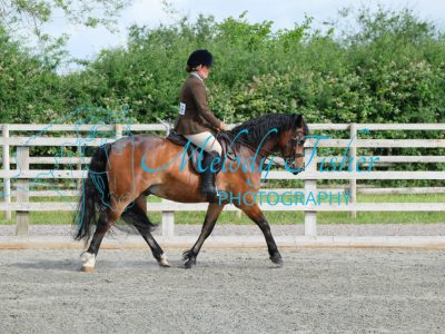 CPRE8481