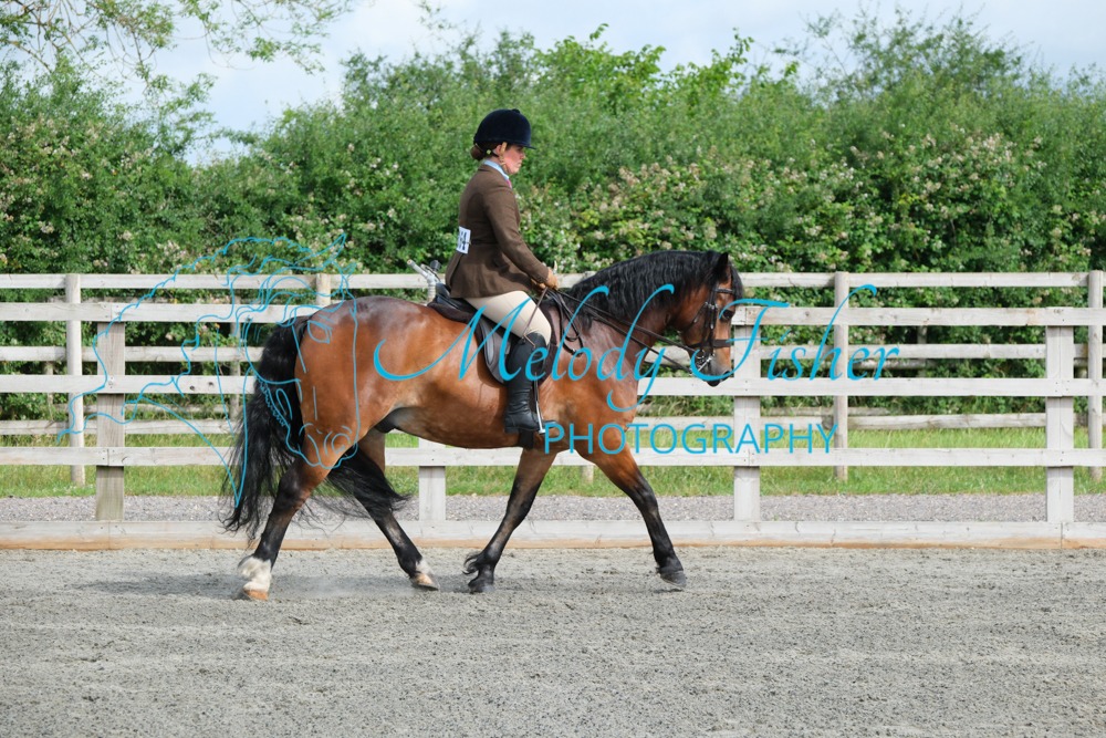 CPRE8481