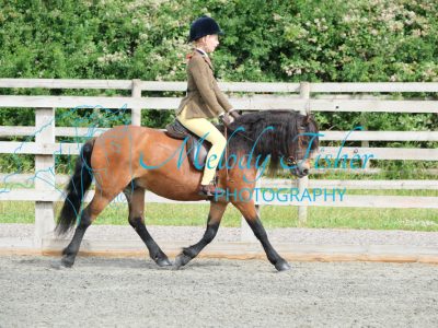 CPRE8482
