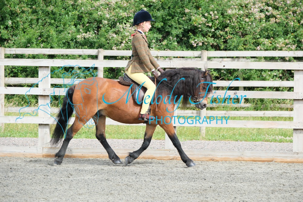 CPRE8482