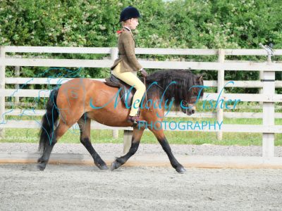 CPRE8483