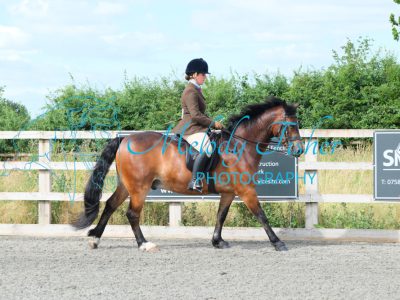 CPRE8484