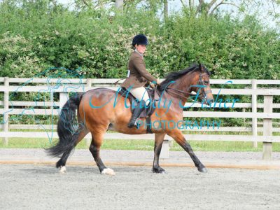 CPRE8486