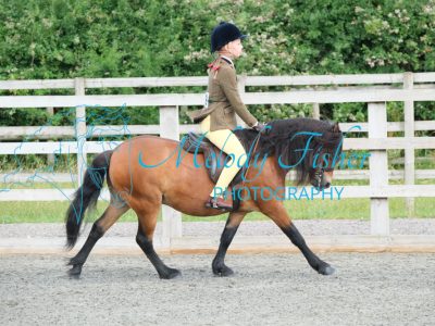 CPRE8493