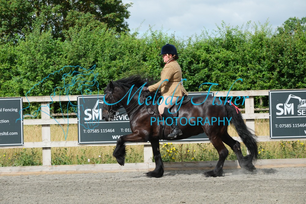 CPRE8447