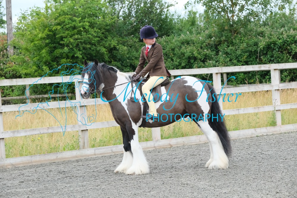CPRE8411