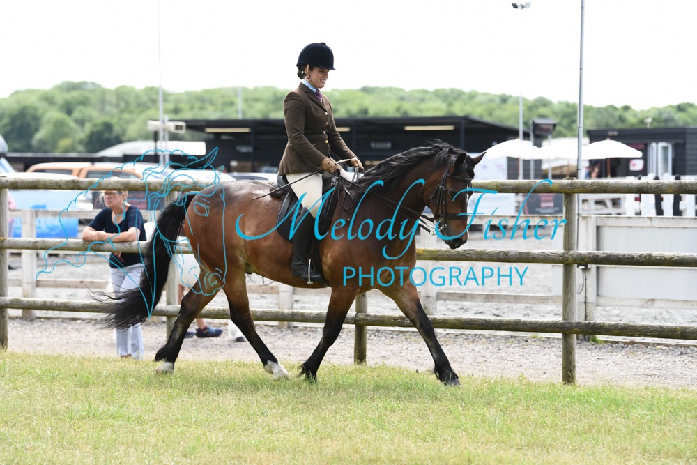 ORP_1491