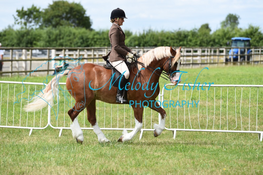 ORP_1604