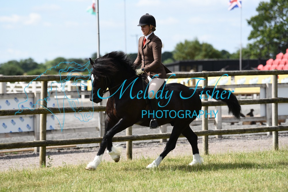 ORP_1314