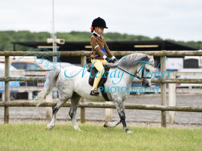 ORP_0730