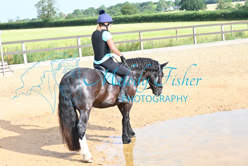DSC_9617-Copy