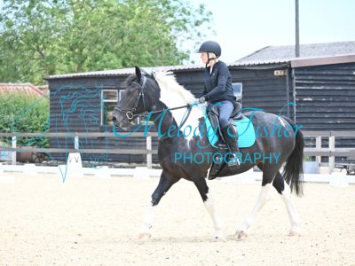 DSC_9773-Copy
