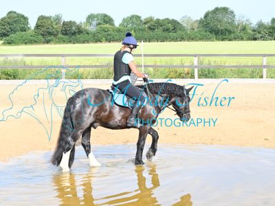 DSC_9638-Copy