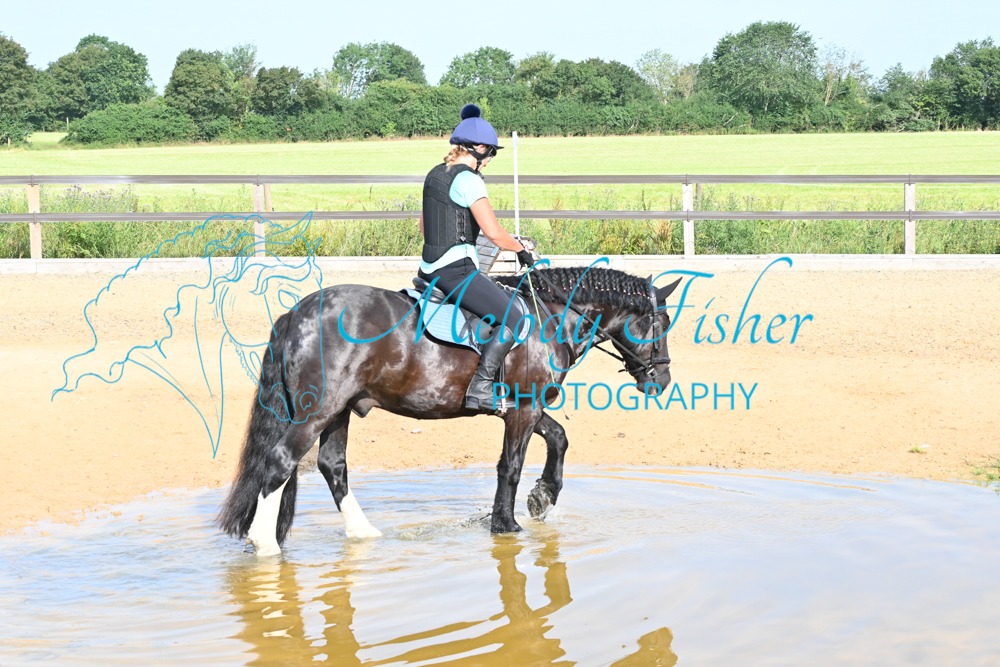 DSC_9638-Copy