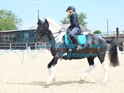 DSC_9790-Copy