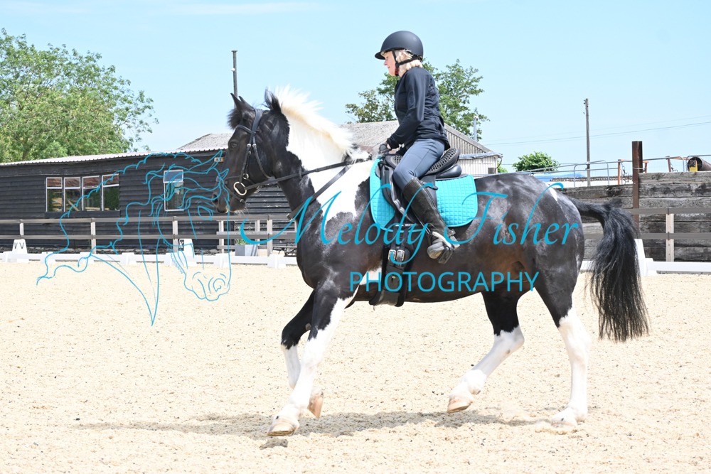 DSC_9790-Copy